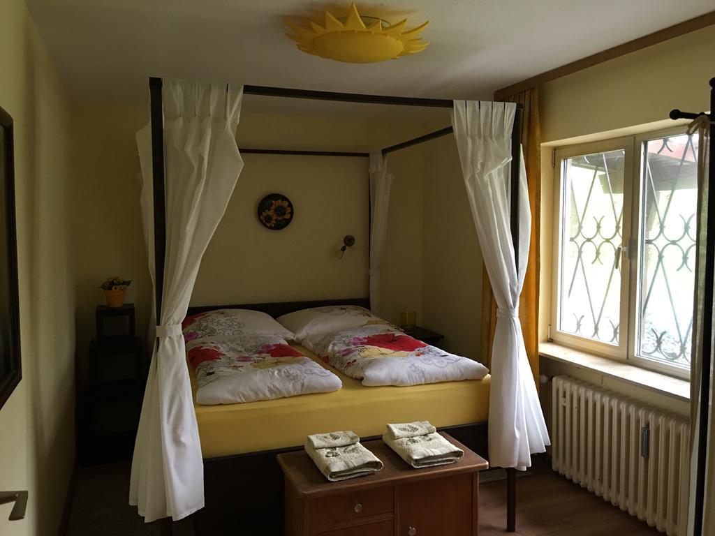 Large Wuerzburg Apartment Eksteriør billede