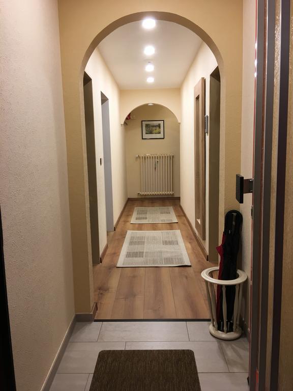 Large Wuerzburg Apartment Eksteriør billede