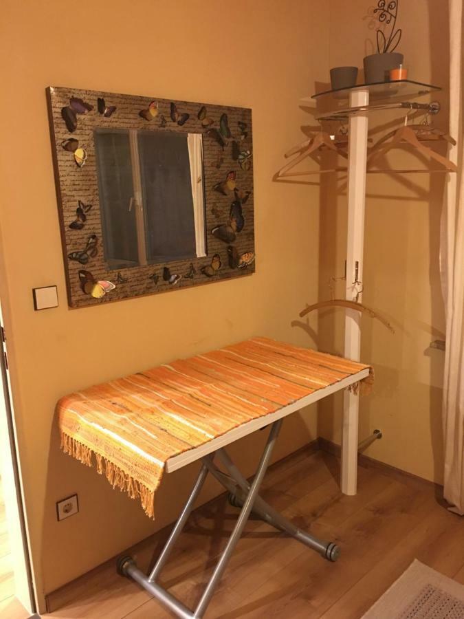 Large Wuerzburg Apartment Eksteriør billede